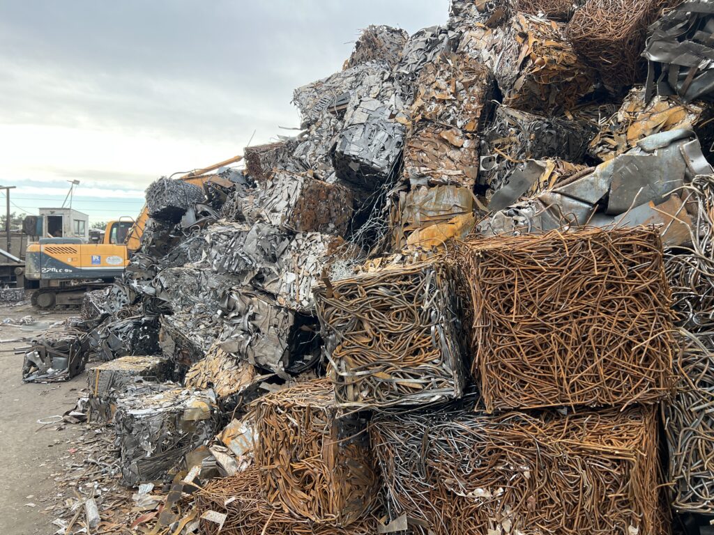 ۲۰۲۵ ۰۲ ۲۴ ۰۷ ۵۱ IMG 5625